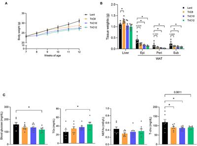 Dietary Medium-Chain Triglyceride Decanoate Affects Glucose Homeostasis Through GPR84-Mediated GLP-1 Secretion in Mice